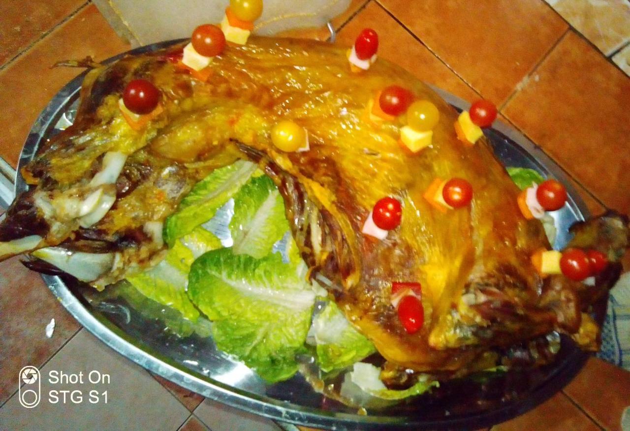 Maison Nomades Aït Boukha Kültér fotó